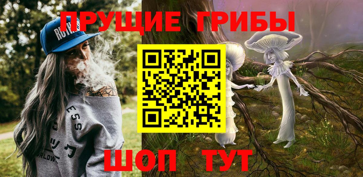 Псилоцибиновые грибы Psilocybe  Вход с VPN  Ртищево  Галлюциногенные грибы GOLDEN TEACHER 
